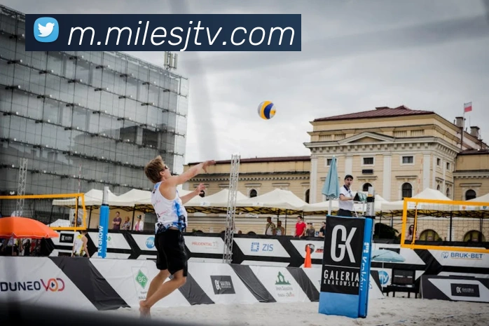 米乐m6服务体系