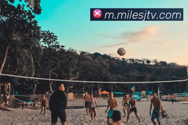 多媒体互动体验